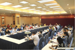 海南省旅游景区协会组织召开2020年上半年工作总结及业务交流会
